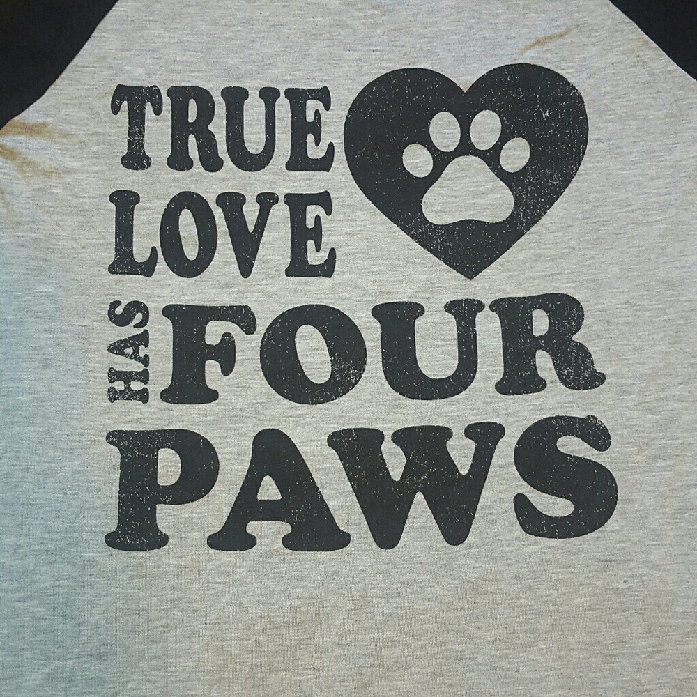 Color bear raglan tee animal lover made in USA - Picture 4 of 8